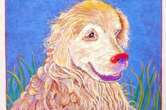 Charlie (12 x 15)