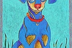 Pup