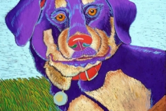 Rosie (12 x 12)