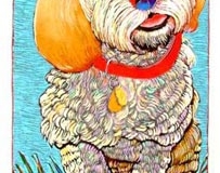 Wanna Play Ball (15 x 8)