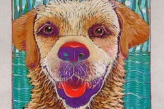 Wet Dog (7 x 7)